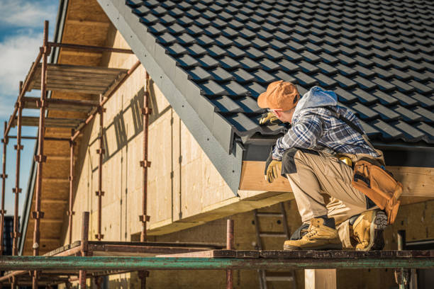 Best Roof Moss and Algae Removal  in Sheridan, AR